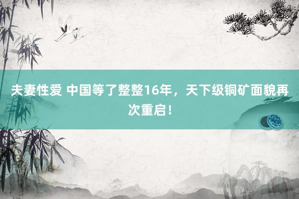 夫妻性爱 中国等了整整16年，天下级铜矿面貌再次重启！