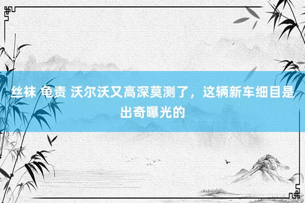 丝袜 龟责 沃尔沃又高深莫测了，这辆新车细目是出奇曝光的