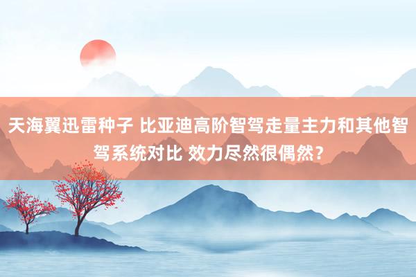 天海翼迅雷种子 比亚迪高阶智驾走量主力和其他智驾系统对比 效力尽然很偶然？