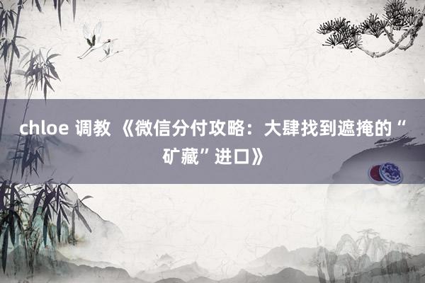 chloe 调教 《微信分付攻略：大肆找到遮掩的“矿藏”进口》