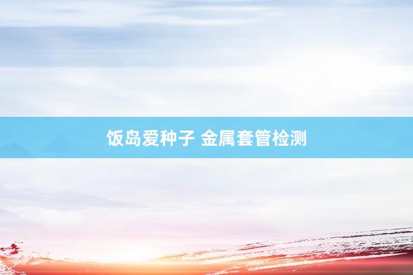 饭岛爱种子 金属套管检测