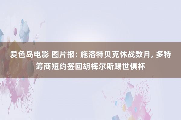 爱色岛电影 图片报: 施洛特贝克休战数月， 多特筹商短约签回胡梅尔斯踢世俱杯