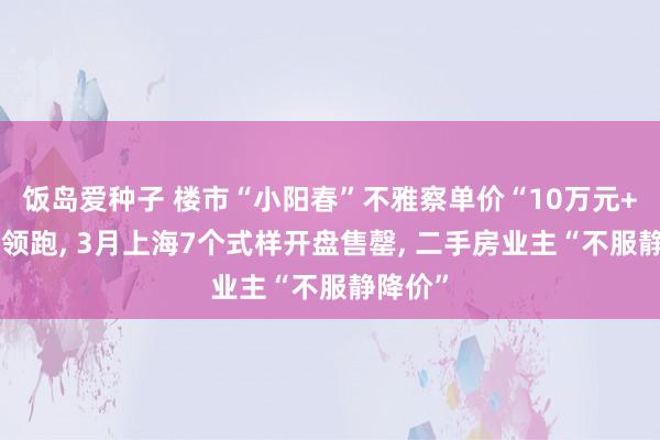 饭岛爱种子 楼市“小阳春”不雅察单价“10万元+”豪宅领跑， 3月上海7个式样开盘售罄， 二手房业主“不服静降价”