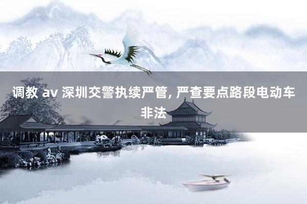 调教 av 深圳交警执续严管， 严查要点路段电动车非法