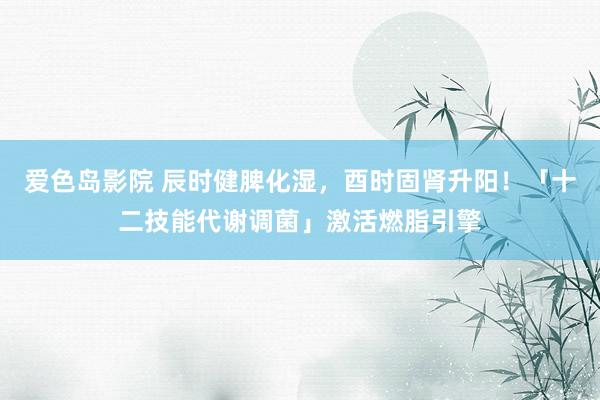 爱色岛影院 辰时健脾化湿，酉时固肾升阳！「十二技能代谢调菌」激活燃脂引擎