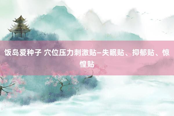 饭岛爱种子 穴位压力刺激贴—失眠贴、抑郁贴、惊惶贴