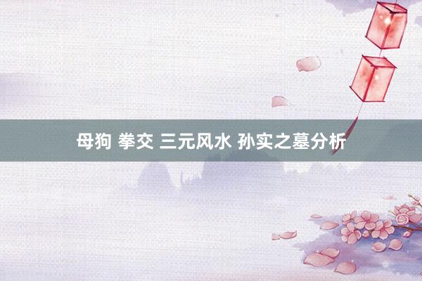 母狗 拳交 三元风水 孙实之墓分析