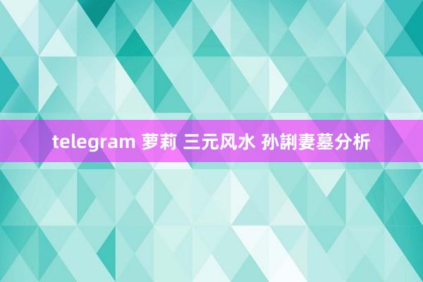 telegram 萝莉 三元风水 孙誗妻墓分析
